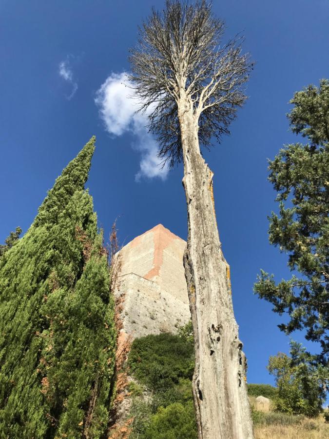 La Mandola Lejlighed Castiglione dʼOrcia Eksteriør billede